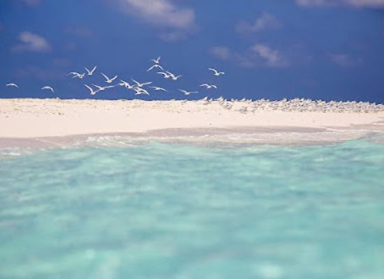 maldives/hulhumale/attraction/aqua-arena-watersports-centre