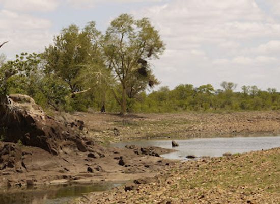 mozambique/limpopo-river-basin/attraction/limpopo-national-park