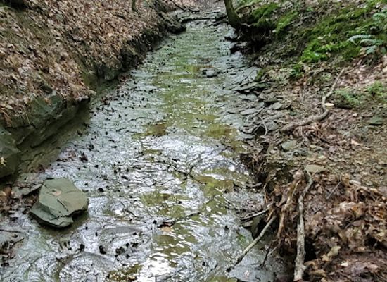 indiana/brown-county-state-park/attraction/laura-hare-nature-preserve-at-downey-hill