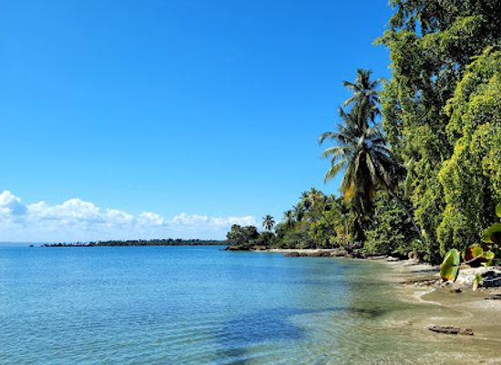 dominican-republic/samana-peninsula/attraction/rio-los-cocos-beach