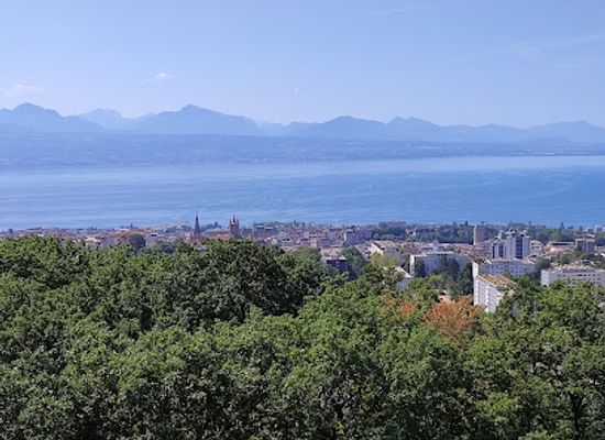 switzerland/lausanne/attraction/sauvabelin-tower