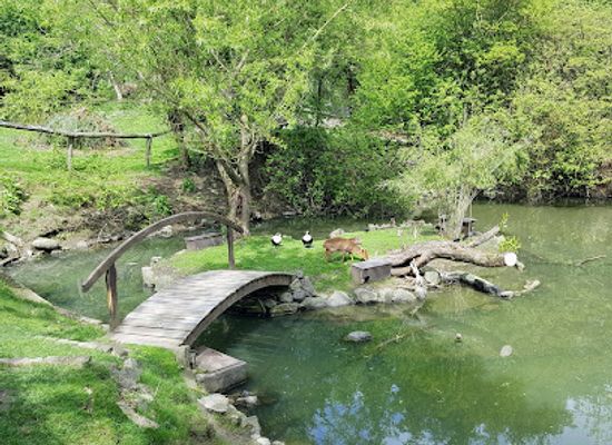 germany/westerwald/attraction/herborn-gmbh-zoo
