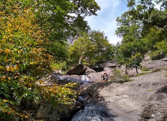 maryland/cunningham-falls-state-park/attraction/cunningham-falls-state-park-william-houck-area