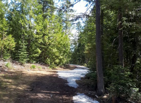 montana/the-flathead/attraction/big-mountain-trailhead