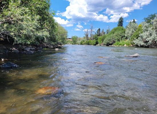 nevada/reno/attraction/crissie-caughlin-park