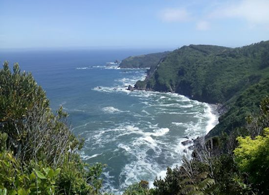 chile/patagonia/attraction/parque-nacional-chiloe