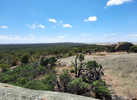 australia/northern-victoria/attraction/terrick-terrick-national-park