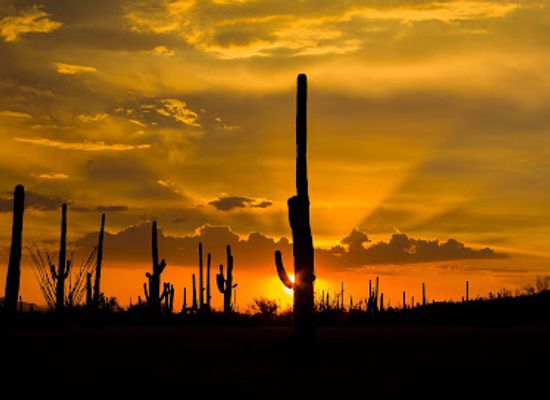 arizona/pima-county/attraction/southern-arizona-heritage-visitor-center