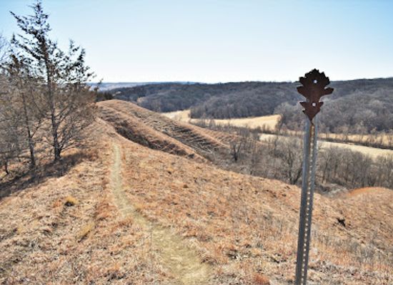 iowa/loess-hills/attraction/loess-hills-state-forest-little-sioux-unit
