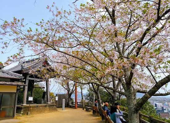japan/tosa/attraction/shiroyama-park