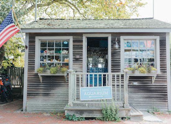 massachusetts/nantucket/attraction/maria-mitchell-aquarium