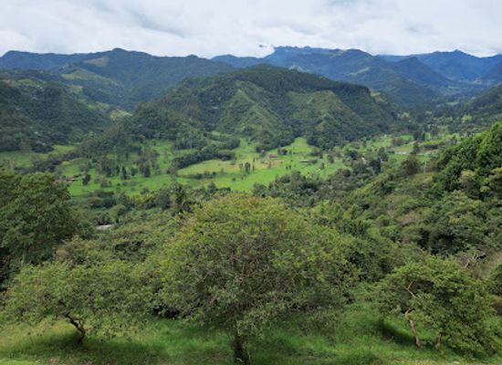 colombia/los-nevados-national-natural-park/attraction/mirador-de-salento