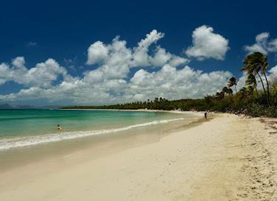 saint-lucia/gros-islet/attraction/plage-des-salines