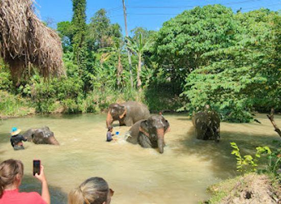 thailand/krabi/ao-nang/attraction/ao-nang-elephant-sanctuary-krabi-booking-is-needed