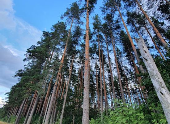 sweden/vastmanland/attraction/kulanbestandet