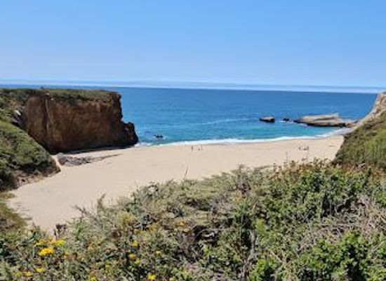 california/monterey/attraction/coast-dairies-state-beaches