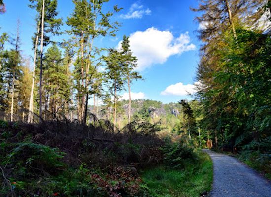 germany/saxon-switzerland-national-park/attraction/elbleitenweg-kleine-bastei