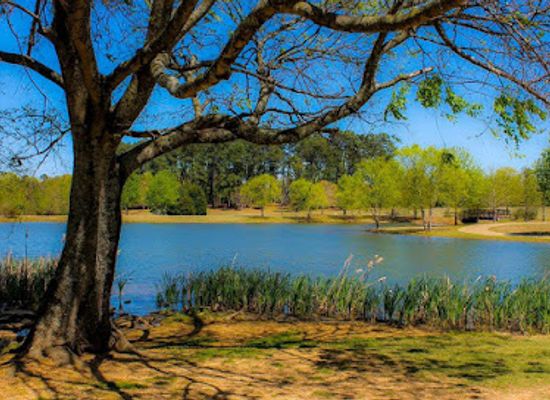 alabama/shoals/attraction/deibert-park