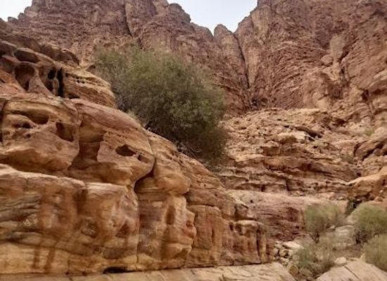 jordan/eastern-highlands/attraction/wadi-araba