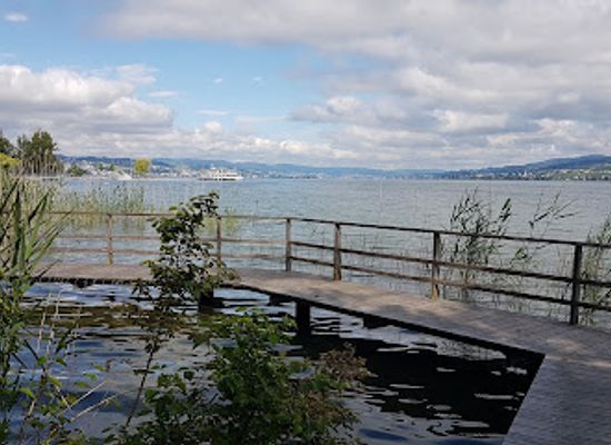 switzerland/zurich-lake/attraction/seeanlage-unterdorf