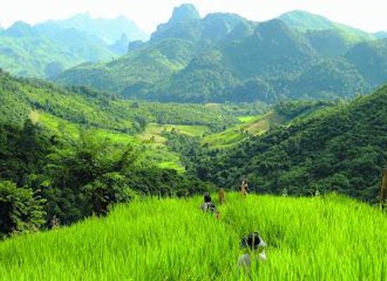 laos/luang-prabang/attraction/join-in-tours-luang-prabang