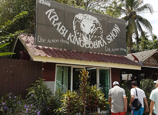 thailand/krabi/attraction/krabi-snake-park-and-kingcobra-show