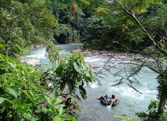 indonesia/bukit-lawang/attraction/bukit-lawang-orangutan-trekking