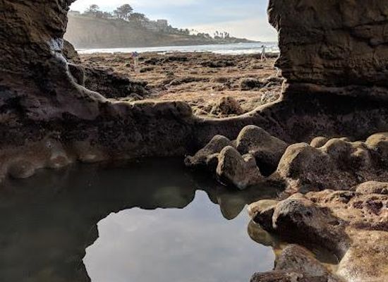 mexico/tijuana/attraction/san-diego-la-jolla-underwater-park