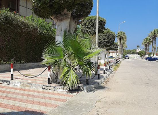 egypt/port-said/attraction/villa-mosalsal-layali-oujini