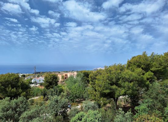 spain/costa-del-sol/attraction/fundacion-cueva-de-nerja