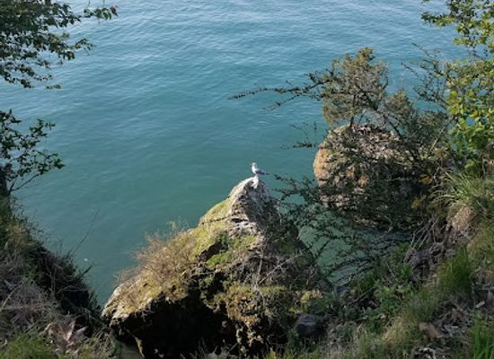 ohio/lake-erie-islands/attraction/gibraltar-island