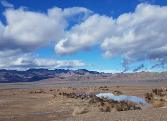 california/colorado-desert/attraction/big-bend-of-the-colorado-state-recreation-area