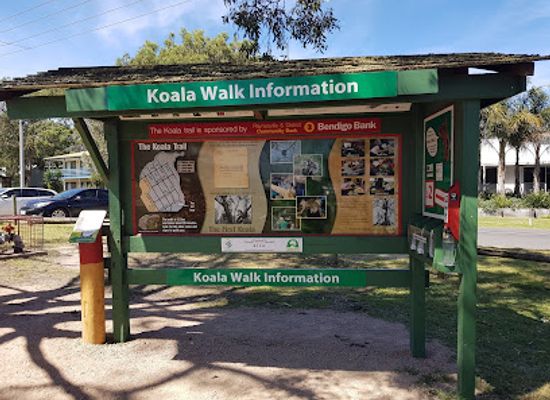 australia/gippsland/attraction/koala-trail