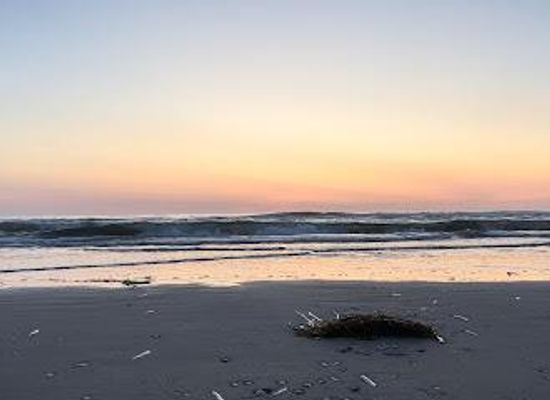 netherlands/kennemerland/attraction/zandvoort-beach