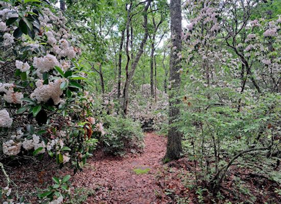 rhode-island/washington-county/attraction/charlestown-moraine-preserve