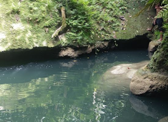 jamaica/port-antonio-area/attraction/nonsuch-falls
