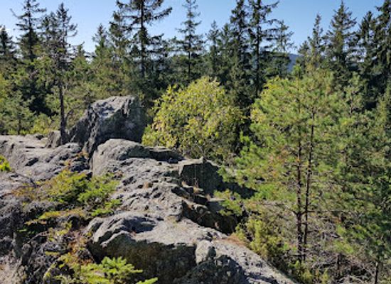 czechia/sumava-national-park/attraction/klostermannova-skala