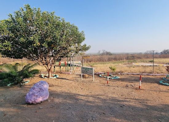botswana/chobe-district/attraction/pyrus-eagles-helicopter-safari-tours