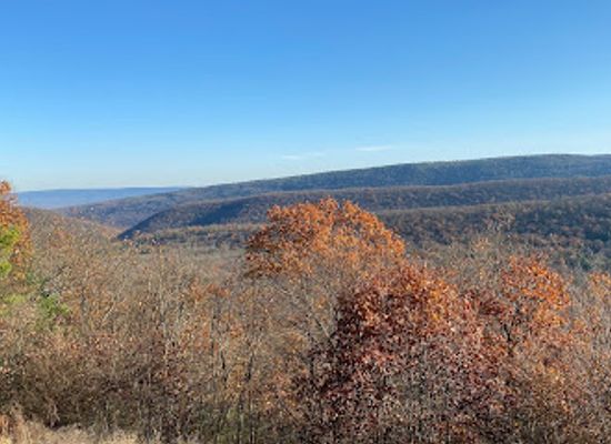 pennsylvania/happy-valley/attraction/bald-eagle-state-forest