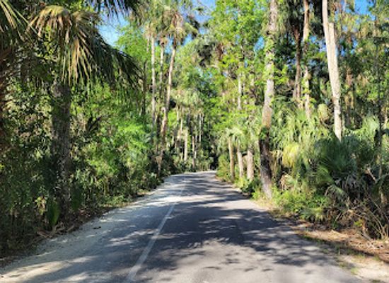 florida/nature-coast/attraction/highlands-hammock-state-park