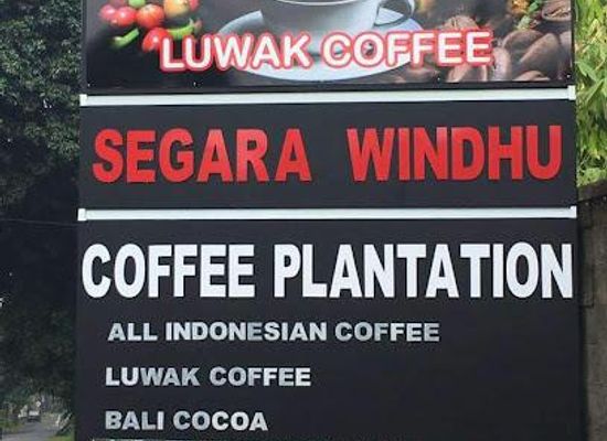 indonesia/bali/attraction/segara-windhu-coffee-plantation