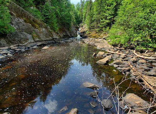 wisconsin/northwoods/attraction/b-b-adventures-of-mercer