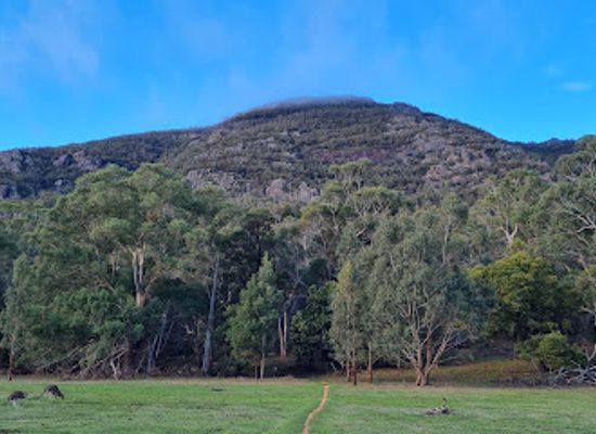 australia/grampians/attraction/brambuk-the-national-park-cultural-centre