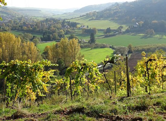 germany/hunsruck/attraction/disibodenberg