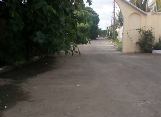 kenya/mombasa-beach/attraction/cage-park