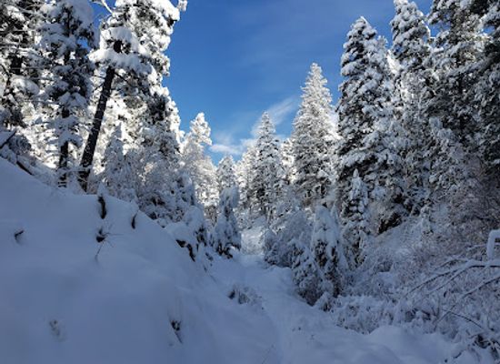 montana/the-lewis-and-clark-national-forest/attraction/deerlodge-national-forest