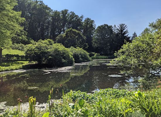 pennsylvania/great-valley/attraction/jenkins-arboretum-gardens