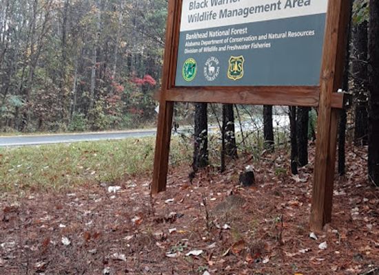 alabama/sipsey-wilderness/attraction/black-warrior-wildlife-management-area