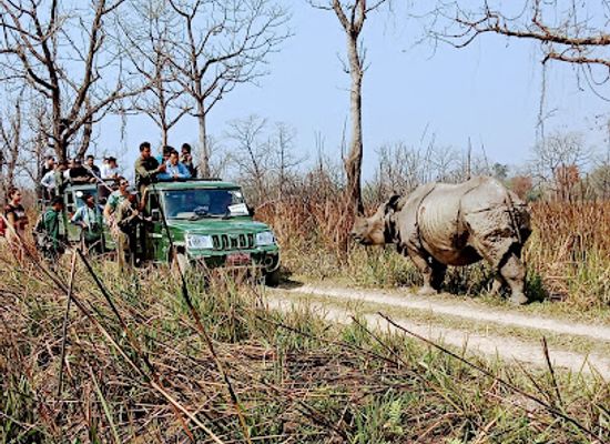 nepal/chitwan/bharatpur/attraction/the-chitwan-jungle-guides-crazy-tiger-s-trek-tours