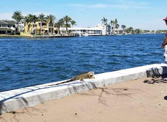 florida/fort-lauderdale-beach/attraction/hugh-taylor-birch-state-park